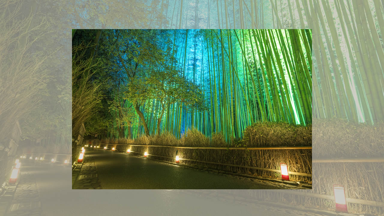 Arashiyama Scenic Adventures Await Beyond the Bamboo Grove