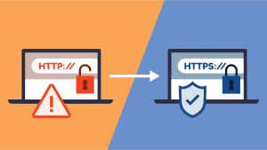 Wordpress : How to Properly Move from HTTP to HTTPS